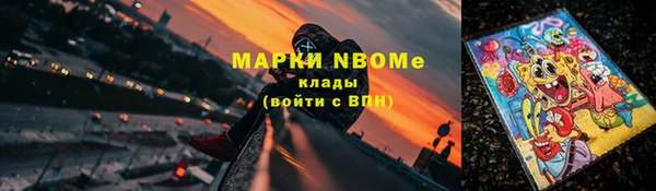 ГАЛЛЮЦИНОГЕННЫЕ ГРИБЫ Вязники